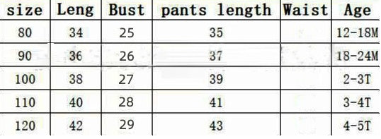 Ensemble Enfant 2 Pièces T-Shirt Volants Pantalon Bretelles Floral